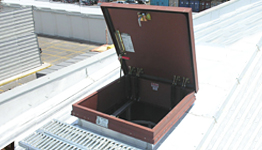 Trappe de toit de Modèle E-Accès par échelle 1E-1